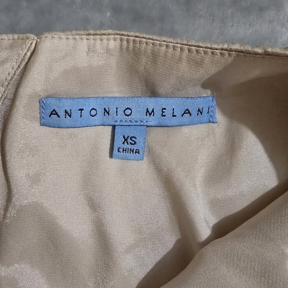 Antonio Melani Cream Color Sleeveless Size XS Silk Dress Blouse With Jewels - Picture 7 of 15